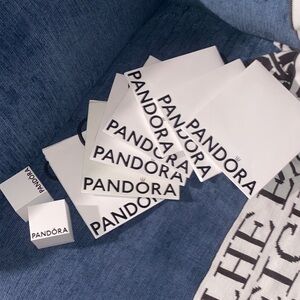 Pandora gift bags lot and charm gift boxes lot